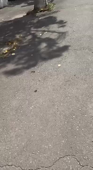 Уважаемые жители городского округа Енакиево