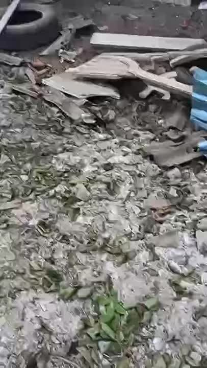 ������ �������: #���������: ��� ������ �� ����