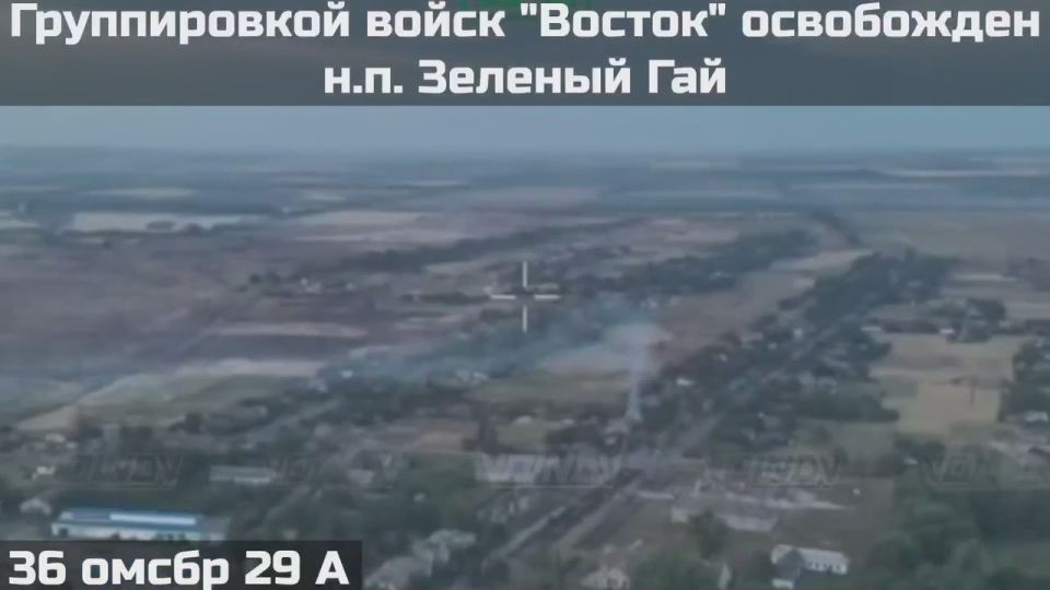 Российские войска освободили населенный пункт Зеленый Гай на Южно-Донецком направлении, сообщает Telegram-канал “Воин DV”