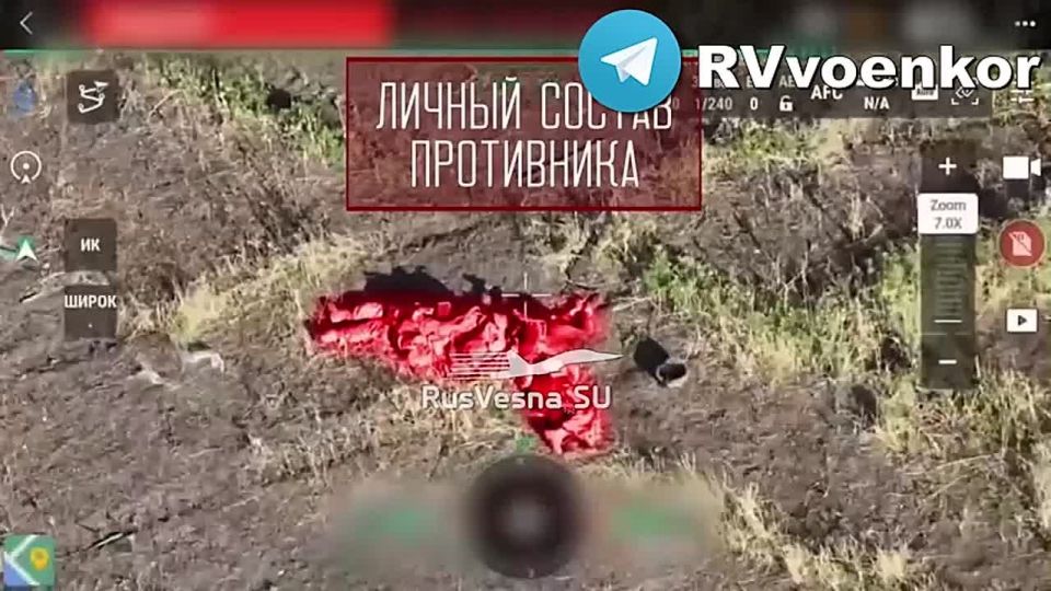 Ожесточённые бои у Покровска: «тважные» методично уничтожают личный состав и технику ВСУ