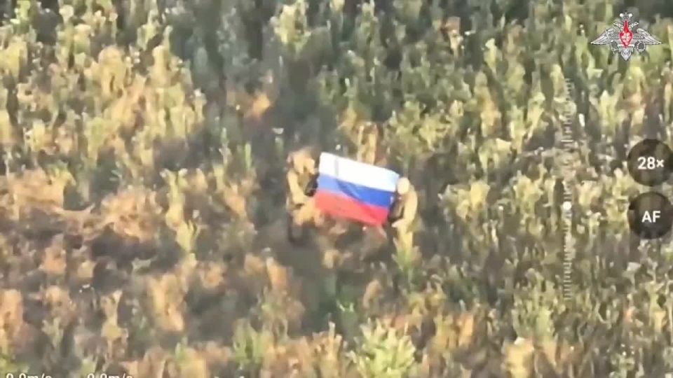 Подразделения группировки войск «Восток» освободили населенные пункты Зеленый Гай ДНР и Малиевка Днепропетровской области