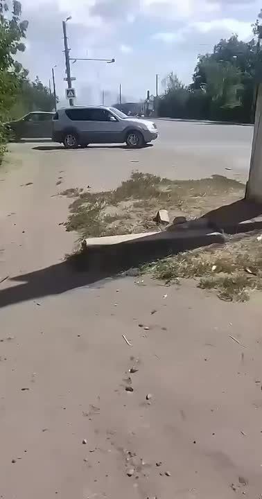 �������������� ���������. �����, ��� ��� ������� ����� ���� �������� � ������������ ���