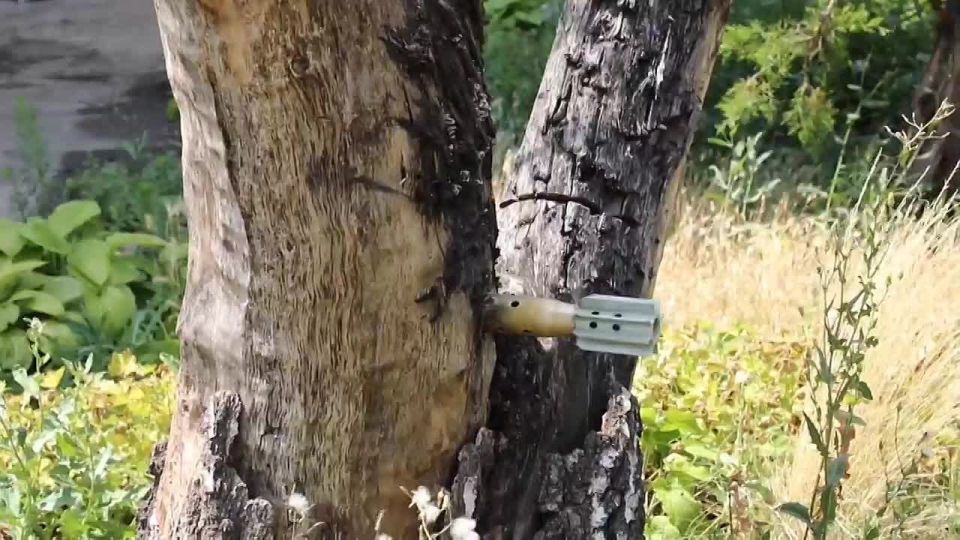 Росгвардейцы помогают пострадавшему от ударов ВСУ православному монастырю в ДНР