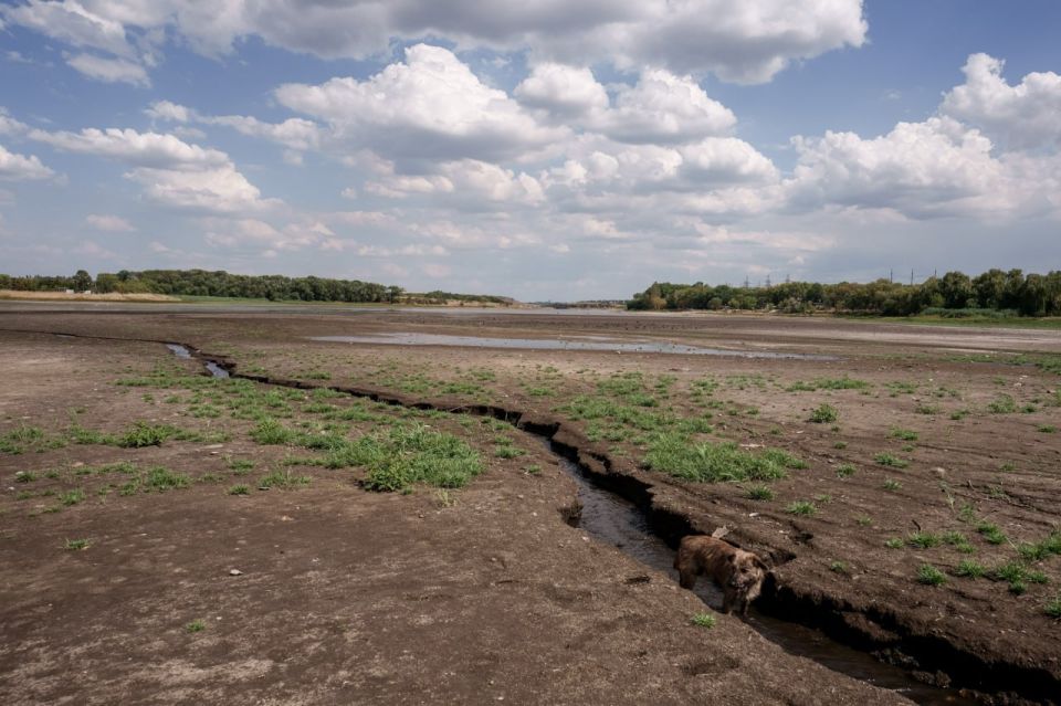 Денис Григорюк: Насколько же полярны мнения аудитории