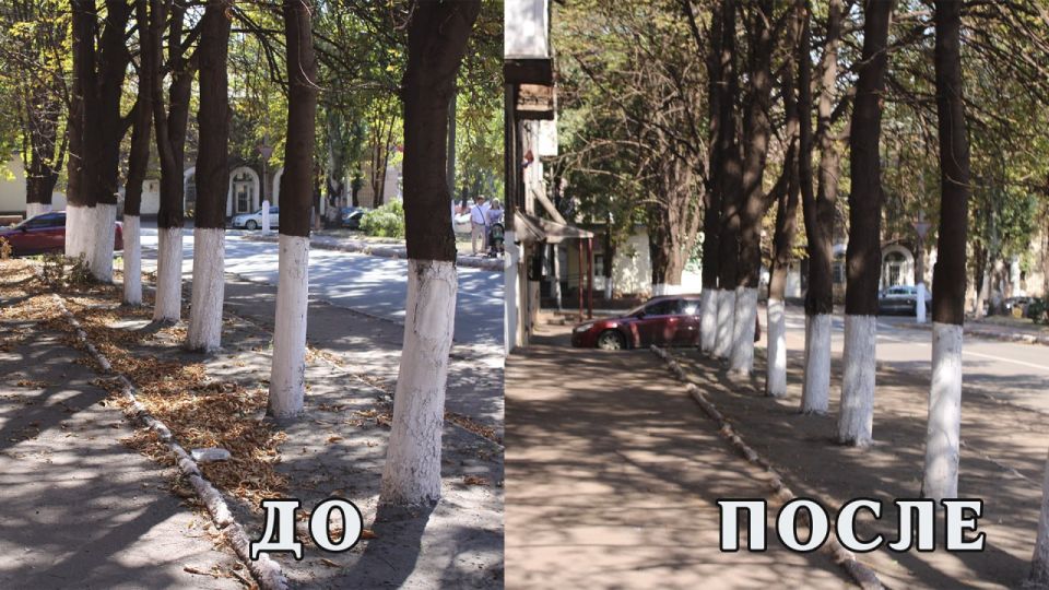 Во исполнение поручения Главы Республики Дениса Пушилина краснолиманцы присоединились к общим работам по благоустройству территории Республики