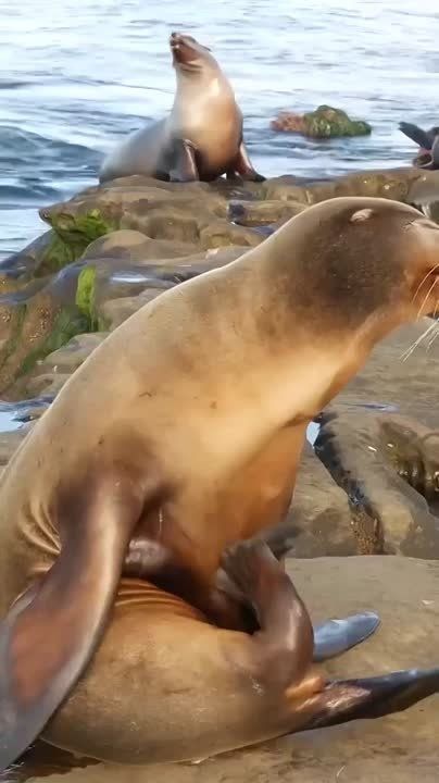 Спокойной ночи, Мариуполь!