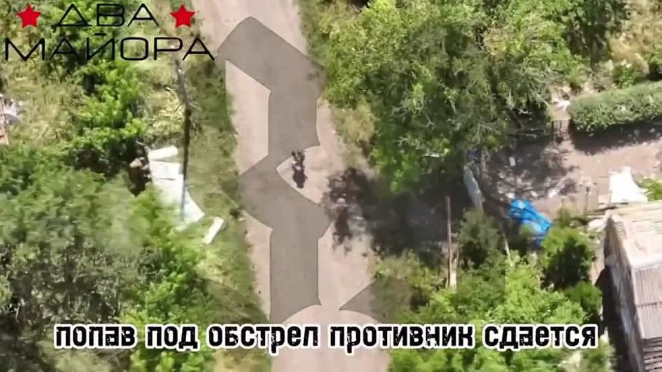 �������� ����� �� �.�. ����������-�������� � ��� �������� "��� ������": ��� ���� ����� ��� ���������� ���� ������!
