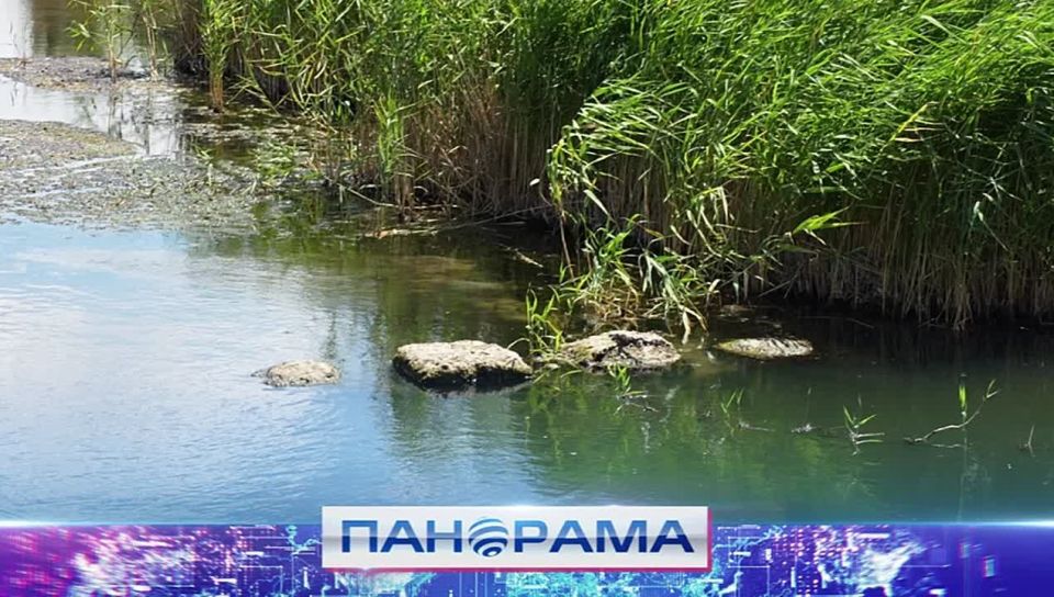 Экологическая спецоперация: в ДНР расчистят русло реки Кальчик