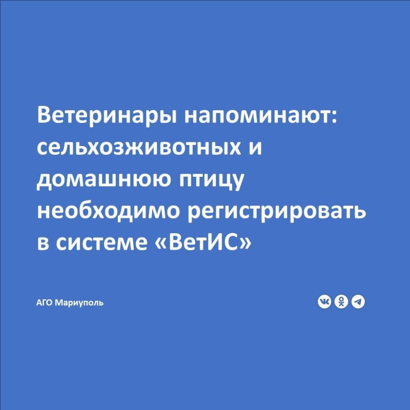 В России внедрена обязательная маркировка и учет сельскохозяйственных животных