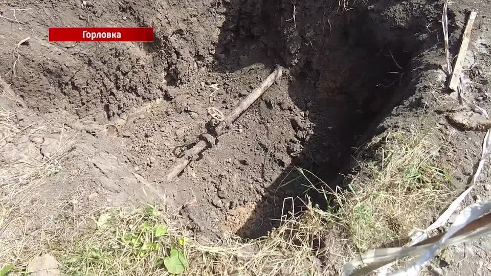 ������ ���������� ������� �� �������� ����������� ����������