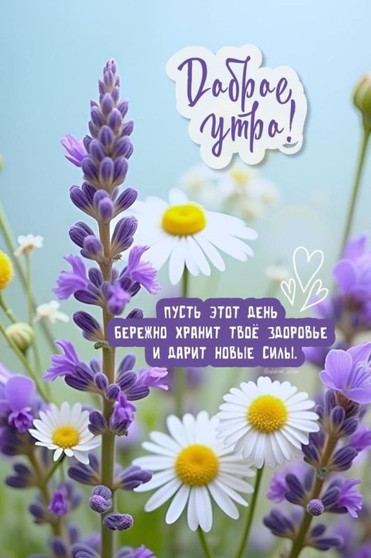 #доброе_утро