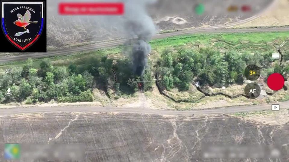 ��������� �������: ������ ������ ����������� 37 ��������� ����������� �������������� ������� ����������� "������" �� �� �� �������, ������� �� ��������