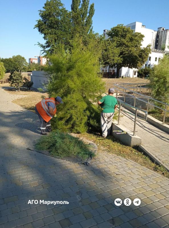 «Зеленстрой» благоустраивает парковые зоны