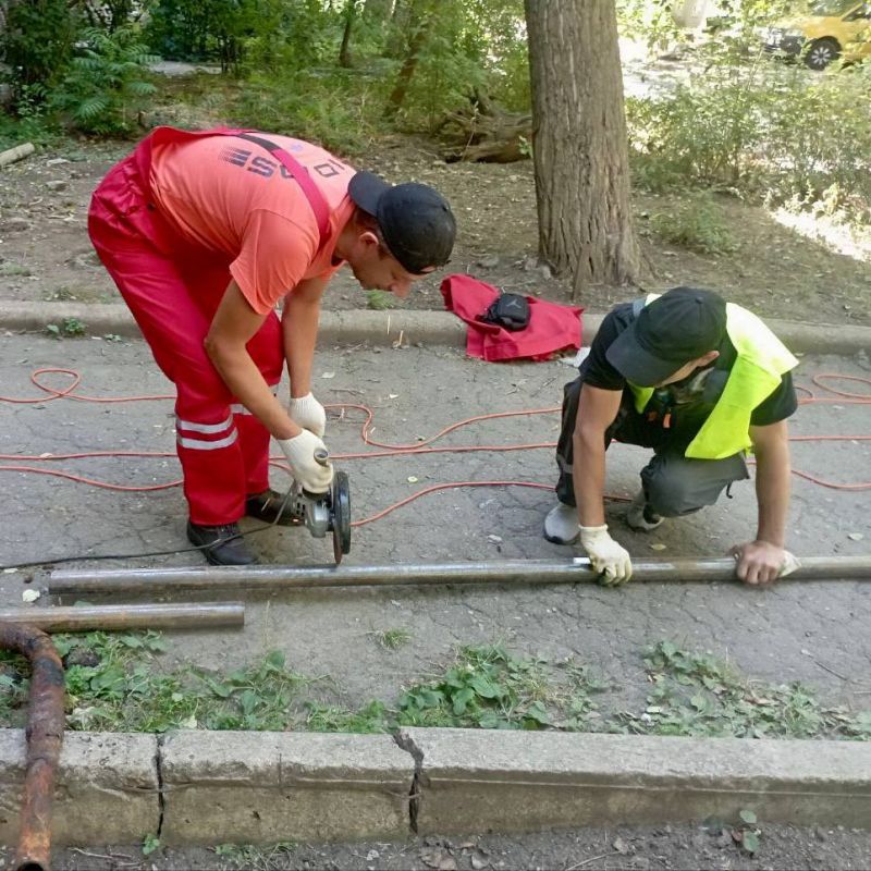 ������ ��������: ������� ��������� ��� �������� ����������� 29 ����