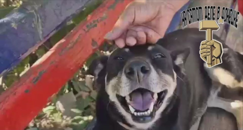 ������� ������ ��� ������. ��������� ����������� ������� ��� ���� � ��������