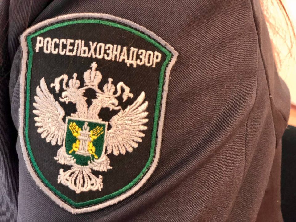 � ���������� ����������������� �� �������� �������� ���������� � ��������� �������� ���������� ��������� ����������, �� ��������� ������� ���� ������� ������� � ������������� �������� ������������ ���������������� ��������...