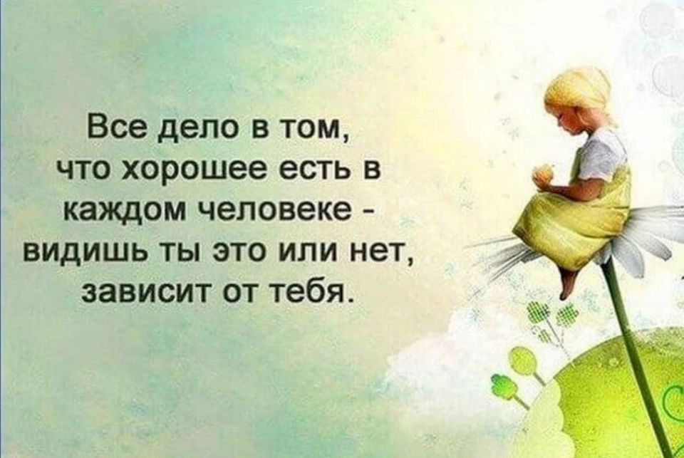 ��������� �����. . ��������� ���������-24