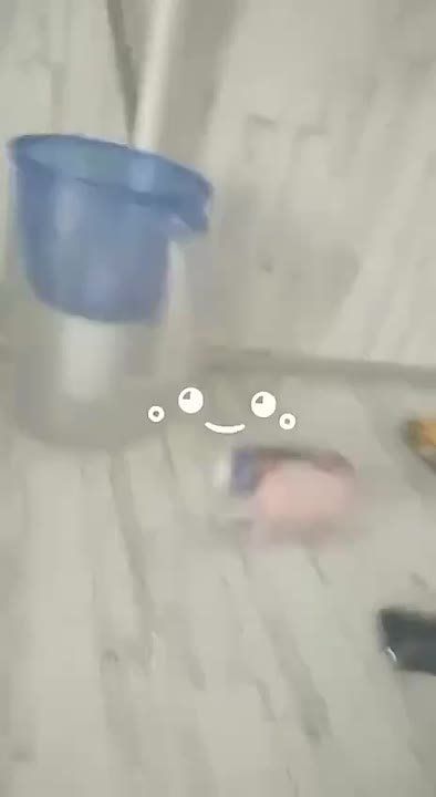 ����� �������� � ����� ����� ������� ������