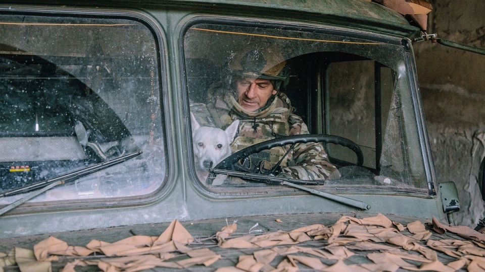 Чувствовал скорое начало налетов и предупреждал: четвероногий друг помогал ВС РФ под Артемовском