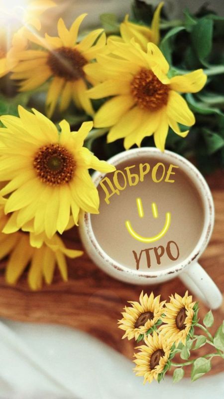 #доброе_утро