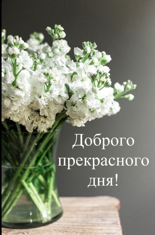 ������ ����!. �������� ���! ����������� ���� �������������
