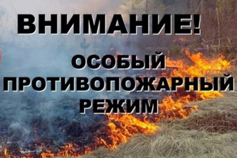 ����������: � ���������� � 1 ���� ��������� ������ ��������������� �����