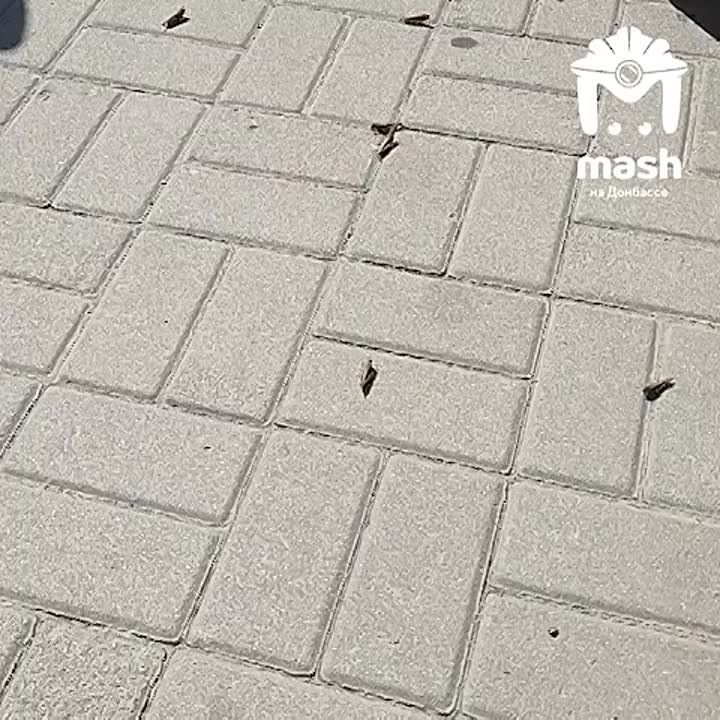 ���� �� ������� ���������, ����� �������� ����