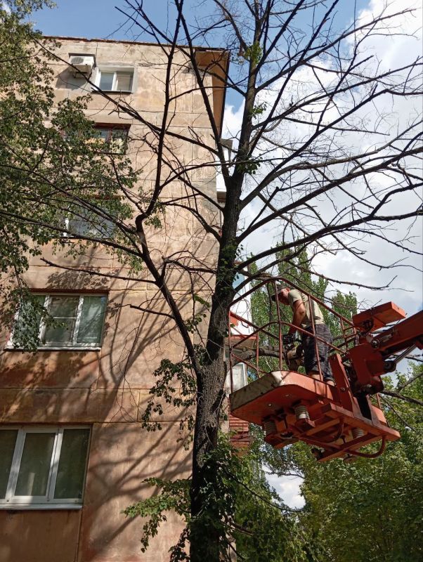 ������� ��������: �� ��������� ����� �������� �������� ���������� ������ �������� � �������������� ������ ������������ ������ �� ���������� ��������� ��������