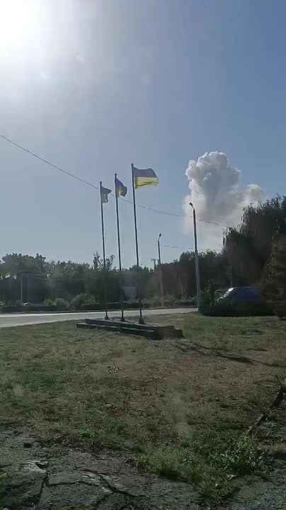 ������ �������: ����� ������� ������� ��������� ��� � ���� �� ������� ������� �������������� ���������� ������������ � �������������� (���)