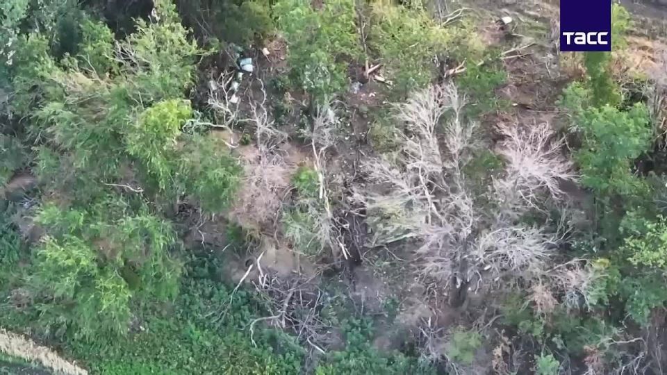 Штурмовики овладели укрепрайонами ВСУ на подступах к Покровску