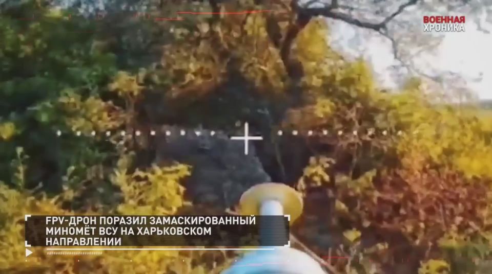 Александр Петрикин: 30 июля. Главные кадры СВО в ежедневной военной хронике