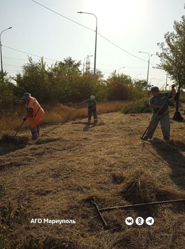 В Ильичевском районе «Зеленстрой» провел уборку скошенной травы