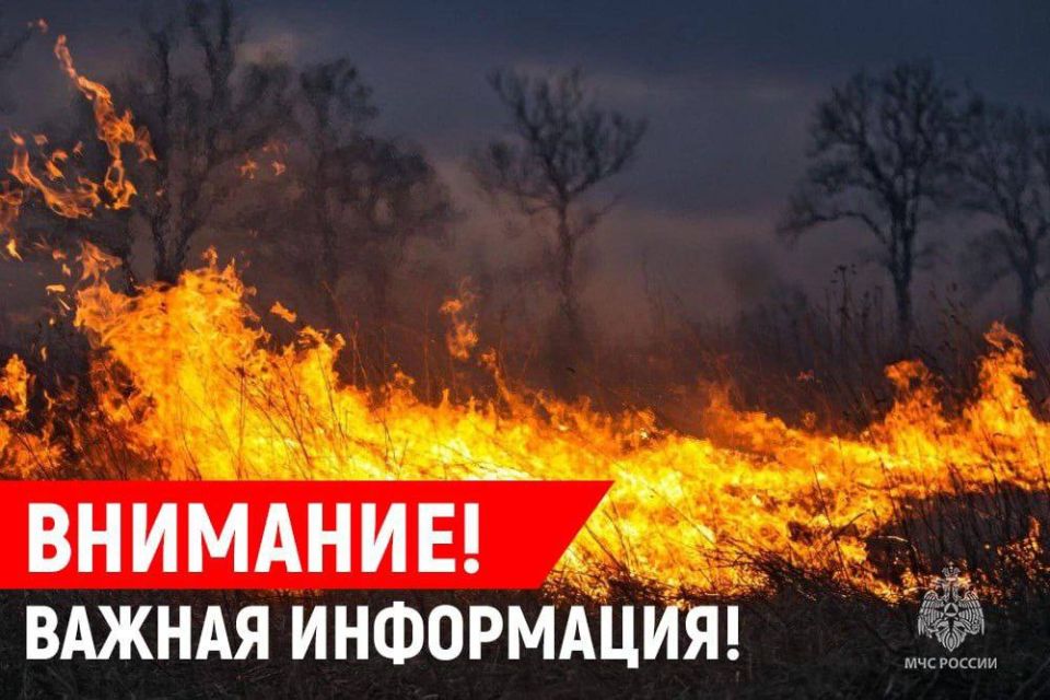 Александр Шатов: Чрезвычайная пожароопасность: сотрудники МЧС России продолжают борьбу со стихией