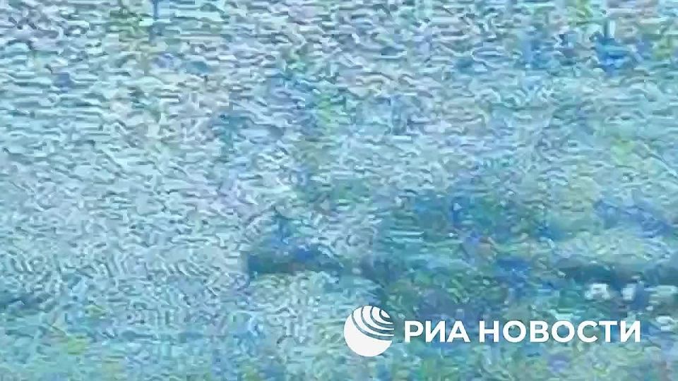 Российские десантники смогли нарушить воздушную логистику ВСУ в битве за Часов Яр, заявил РИА Новости оператор БПЛА 98-й дивизии ВДВ с позывным "Тони"