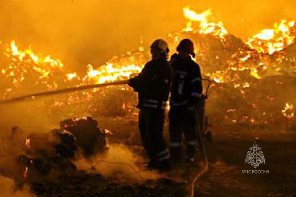 За минувшие сутки в ДНР ликвидировано 166 пожаров, из них 91- ландшафтный — ГУ МЧС России по Республике