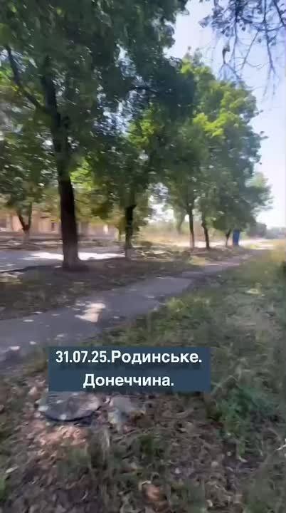 Село Родинское к северу от Красноармейска