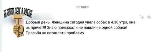 Сегодня был отлов собак на Новых Планах в Макеевке, где недавно стая собак чуть не растерзала ребенка, таская его по асфальту