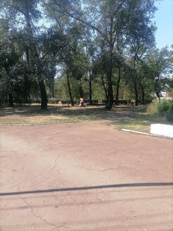 Благоустройство территории