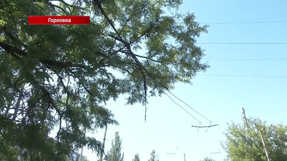 Роман Конев: Что необходимо для восстановления троллейбусных путей в жилом массиве «Строитель»?