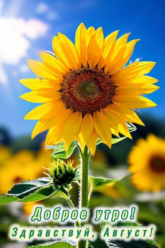#доброе_утро
