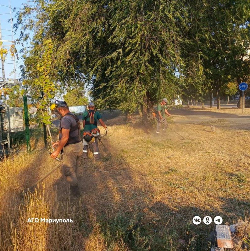 Коммунальщики благоустраивают проспекты и бульвары Мариуполя