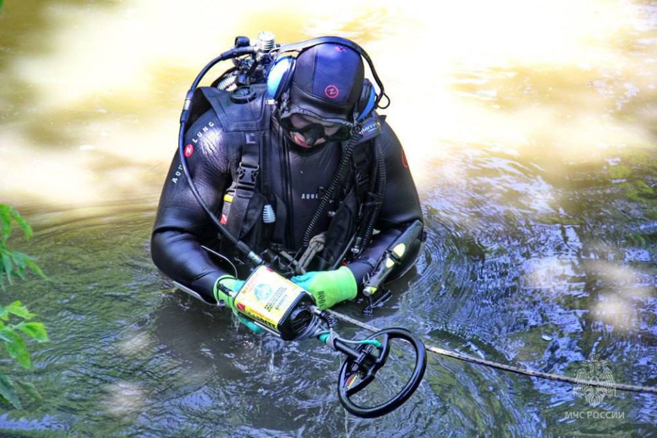 За минувшие сутки в ДНР ликвидирован 71 пожар, из них 39- природные — ГУ МЧС России по Республик