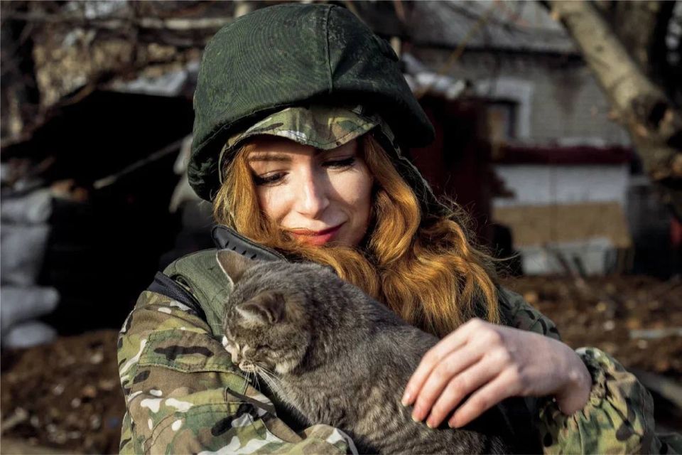 �� �������� ���������� ������������ ���������� ��������� � ������������� ���������� �� ���������� ��������� �