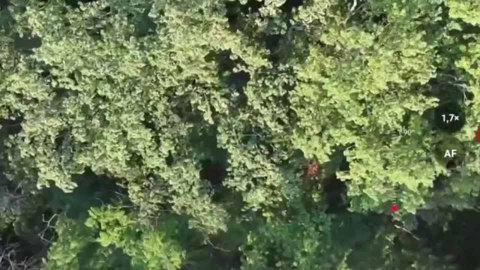 Уничтожение танка Т-72АВ ВСУ редким в нынешнее время одиночным сбросом с БПЛА на Северском направлении