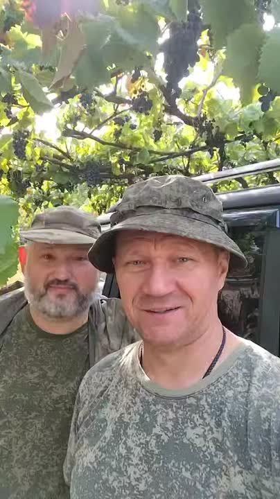 ����� ������: �����, ������, �����, ������ �