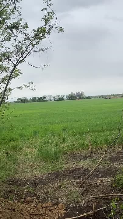 Чингис Дамбиев: ФАБов мало не бывант. Прилет по лесополке с хохлами на Южно-Донецком направлении