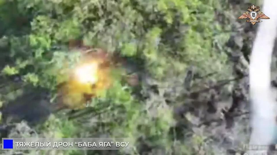 ����������� ������ ������ ��� �����-��� ������ ��� � ����������� ������ 51 �����