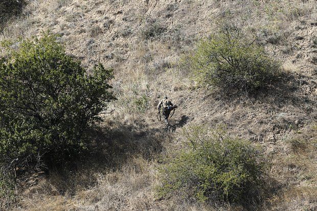 Меркурис: Запад перестал говорить об СВО для сохранения иллюзии стабильности
