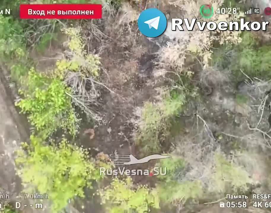 ���� ��������� ���� ���������� ������� �� ���� ����������� �� ��������� �����������