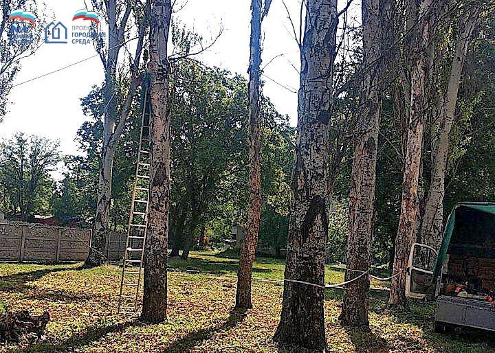 ���� ������: � ������� ������� ������ ������ ������������ ������������ ����� ���� ��������� ������ �� ����� ����� � ��������� �������� �� ���������� ������������� ������